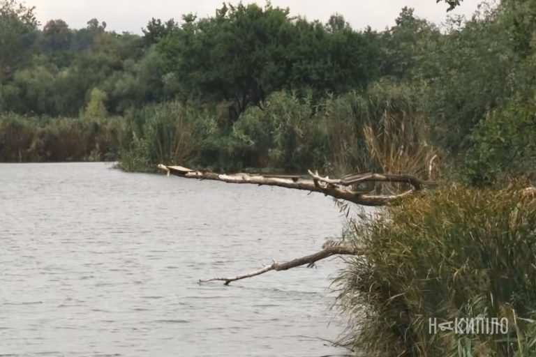 річки на Харківщині
