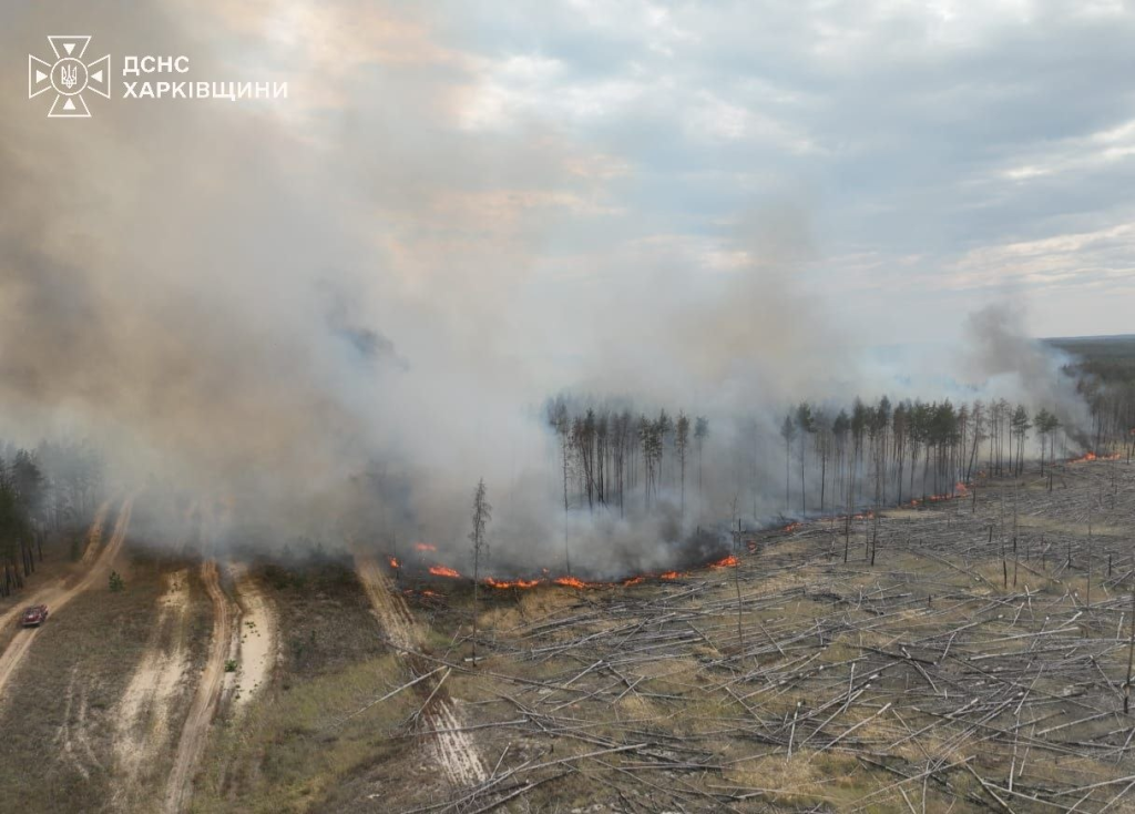Понад 150 гектарів лісу горять на Харківщині Понад 150 гектарів лісу горять на Харківщині