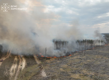 Ліси горять на Харківщині Фото ДСНС