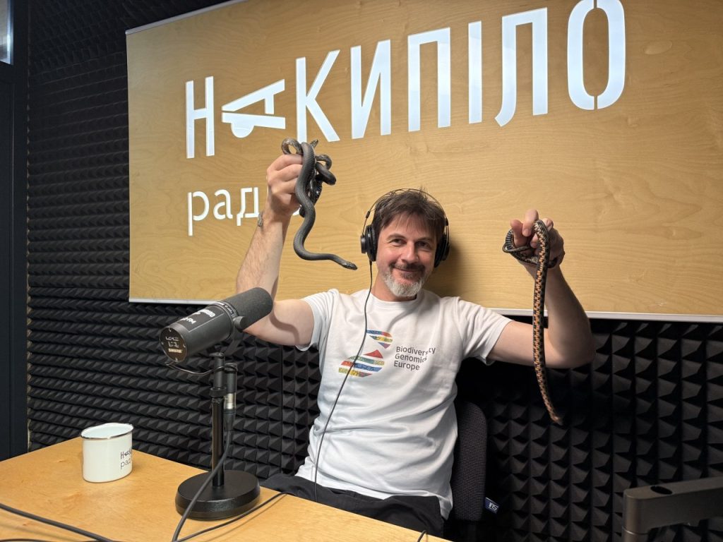 Чи дійсно ми залишаємо музеї в нашій тривожній валізі? Чи дійсно ми залишаємо музеї в нашій тривожній валізі?