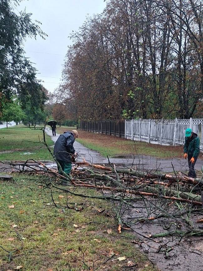 У Харкові через негоду падають дерева У Харкові через негоду падають дерева