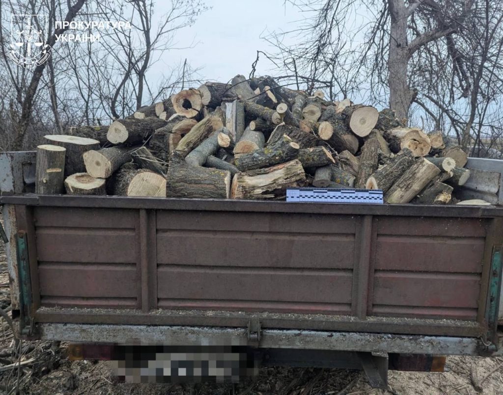 500 тисяч гривень збитків через незаконну вирубку дерев: розслідують злочин 500 тисяч гривень збитків через незаконну вирубку дерев: розслідують злочин
