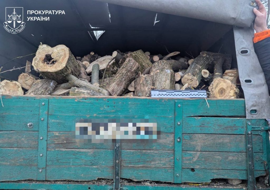 500 тисяч гривень збитків через незаконну вирубку дерев: розслідують злочин 500 тисяч гривень збитків через незаконну вирубку дерев: розслідують злочин
